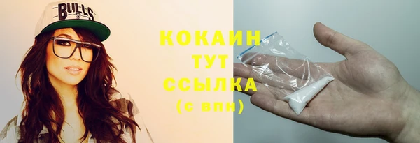 стафф Ельня